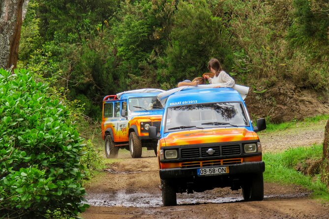 Wine Taste, 4x4 Jeep Adventure and Cabo Girão Skywalk - Booking and Cancellation Policies