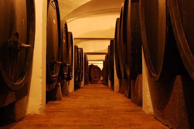 Wine Tasting Activity at Chianti Rufina - Suitability and Restrictions
