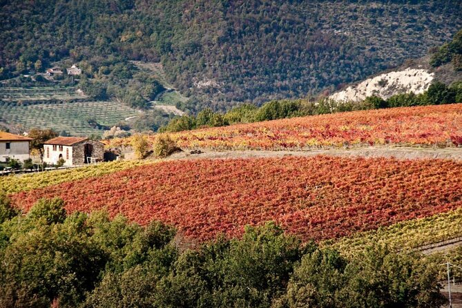 Wine Tasting Activity at Chianti Rufina - Booking and Cancellation Policy