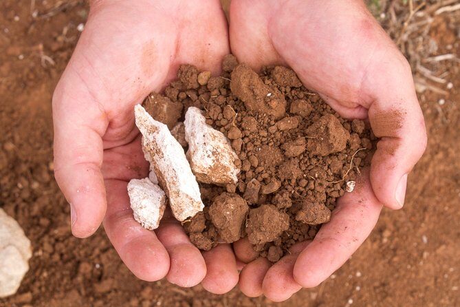 Wine Tasting Activity at Rymill Coonawarra - Scenic and Authentic