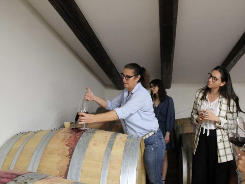 Wine Tasting and Food Pairings in Langhe and near Alba - The Practicalities: Timing, Cost, and Logistics