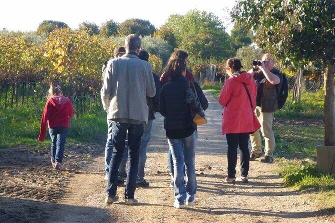 Wine Tasting and Guided Visit to the Vineyard and Cellar in S. Maria Imbaro - A Closer Look at the Tour: What to Expect