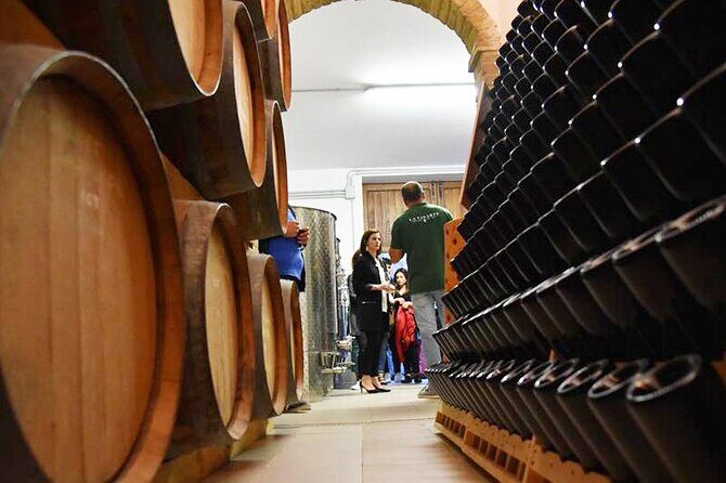 Wine Tasting and Guided Visit to the Vineyard and Cellar in S. Maria Imbaro - Final Thoughts: Who Is This Tour Perfect For?