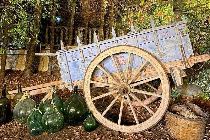 Wine Tasting and Guided Visit to the Vineyard and Cellar in S. Maria Imbaro - Frequently Asked Questions