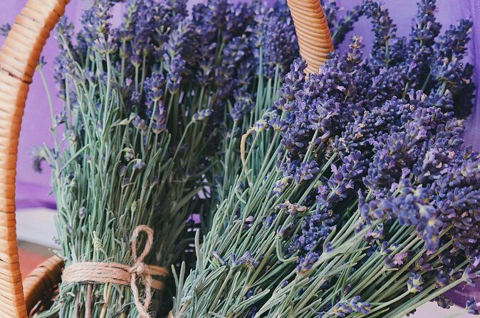 Wine Tasting and lavender Farm Tours - The Sum Up
