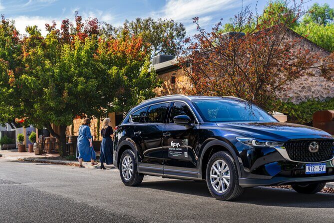 Wine Tasting and Lunch Private Tour in McLaren Vale - Key Points