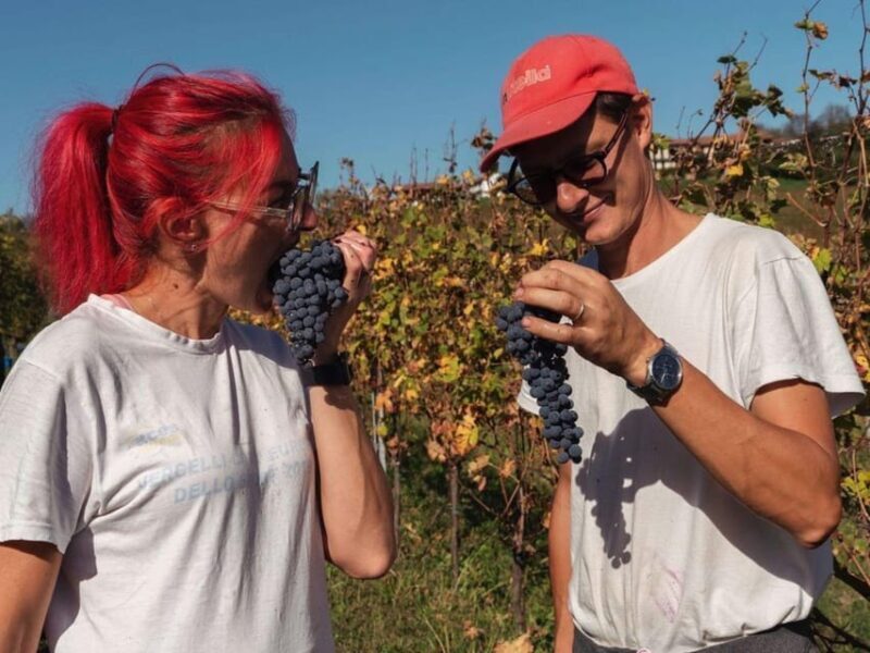 Wine Tasting and Winery Visit near Asti and Turin - Who Will Enjoy This Tour?
