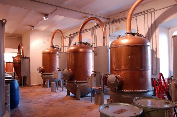 Wine Tasting, Cannes, Famous Designers and Perfume Factory - Château Crémat: A Vineyard Experience