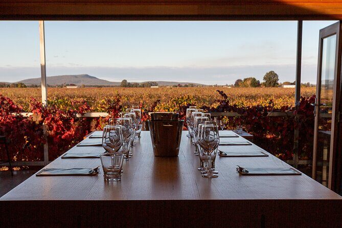 Wine Tasting Experience - Practical Details and Tips for Visitors