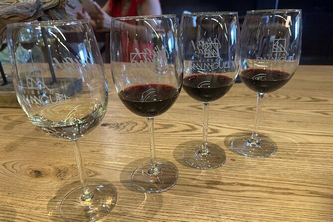 Wine Tasting experience in San Miguel de Allende - A Practical Review of the Wine Tasting Experience in San Miguel de Allende