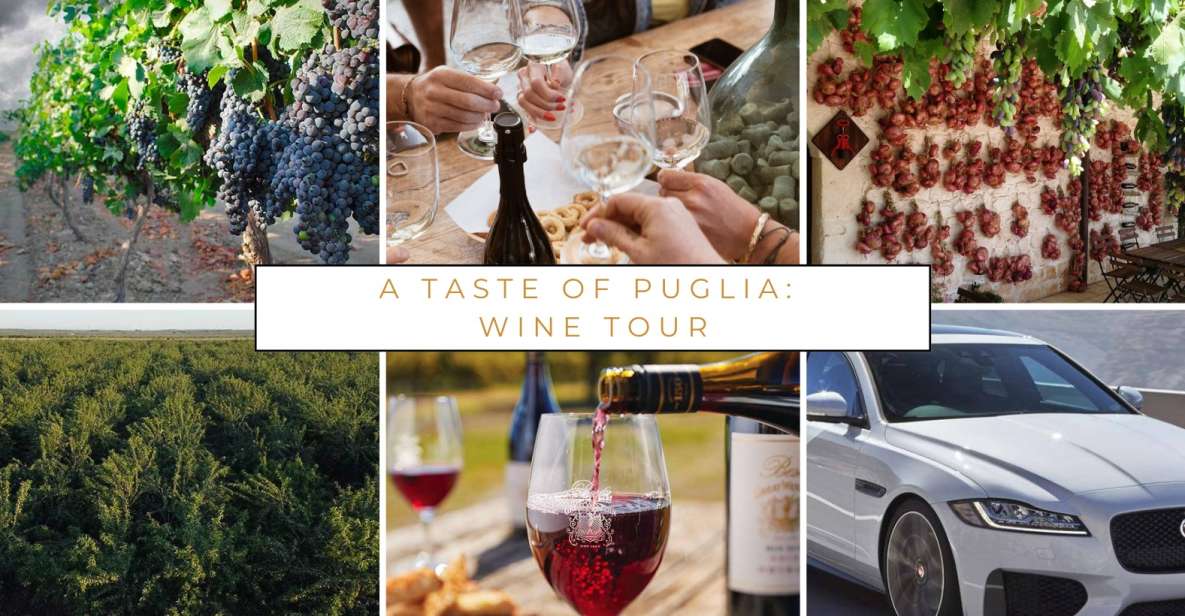 Wine Tasting Experience in the Apulian Countryside! - Winery Tour and Tasting
