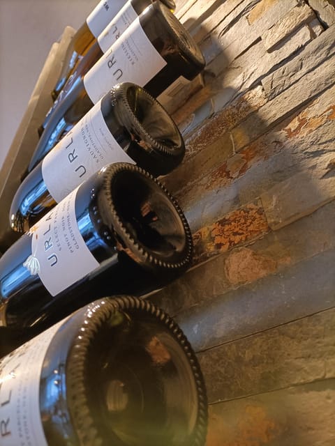 Wine Tasting Experience With Cheese and Cold Cuts - Ask Away