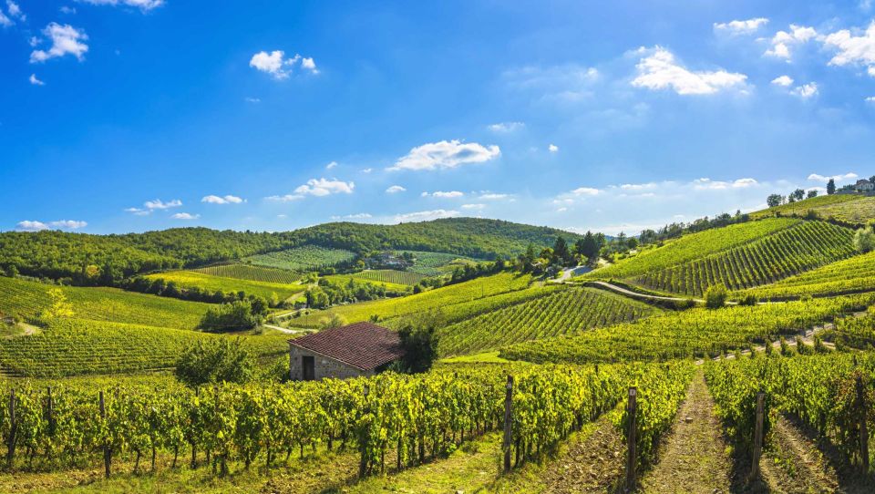 Wine Tasting in Brolio Castle Gardens From Florence by Car - Experience Description