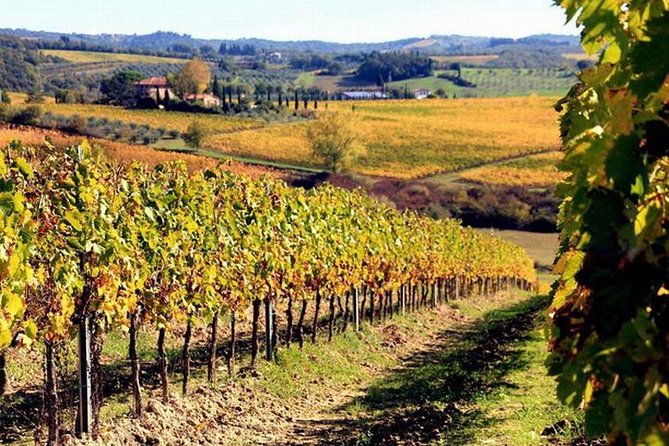 Wine Tasting in Chianti, Visiting Castellina, in Tuscany From Rome ...