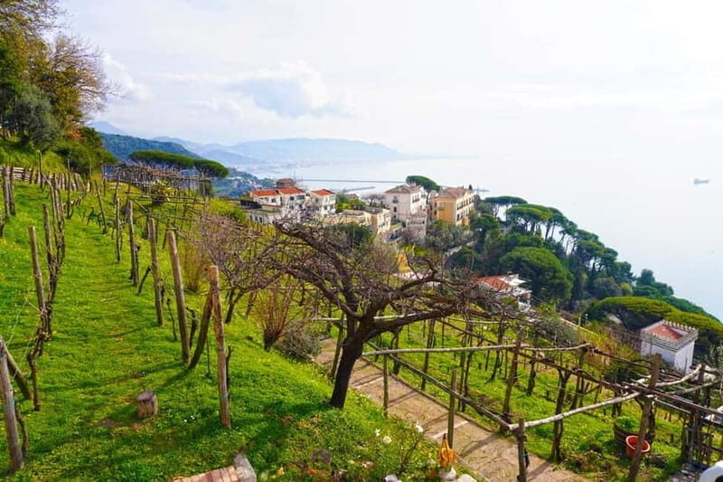 Wine tasting in Cilento with professional sommelier. - Authenticity and the Cilento Experience