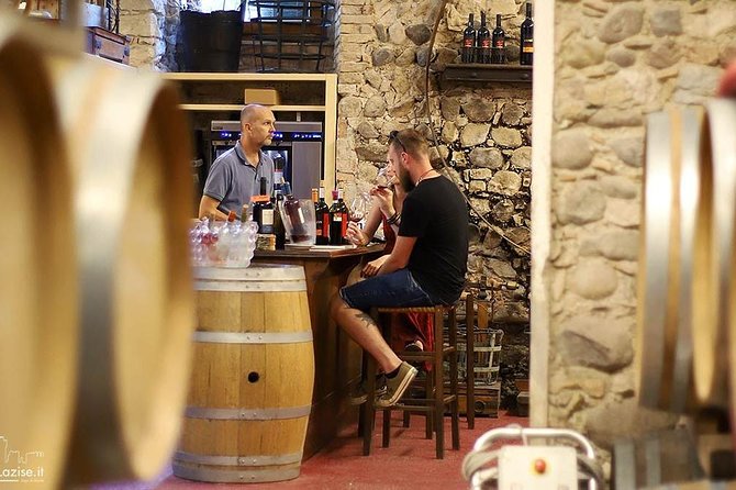 Wine Tasting in Historical Center of Lazise - Historical Significance of ZF4