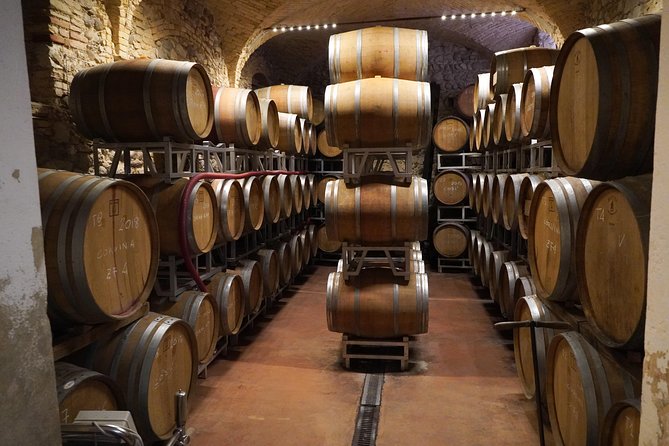 Wine Tasting in Historical Center of Lazise - Preparing for Your Wine Tasting
