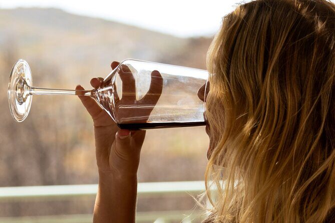 Wine tasting in Rhodes, inside the vineyards with the Producer - A Closer Look at the Rhodes Vineyard Tour