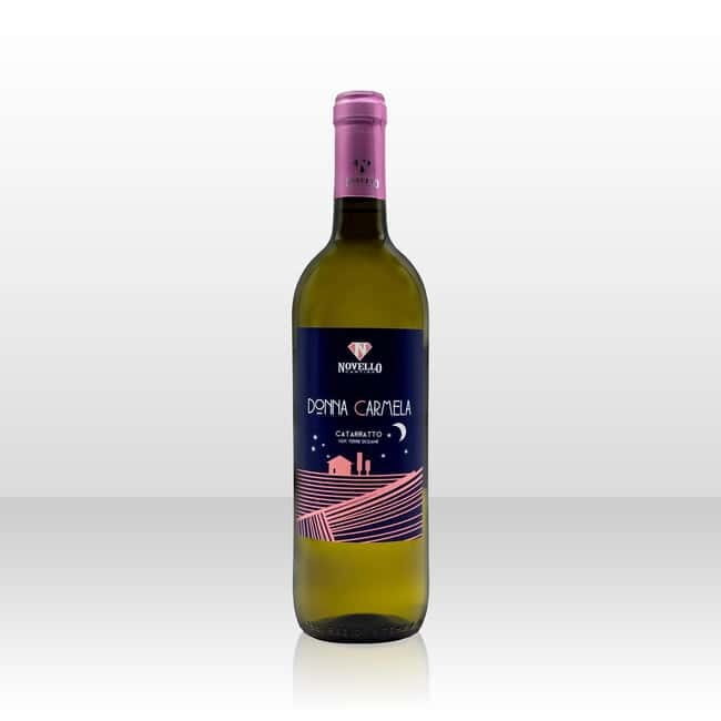 Wine tasting in the cellar - What to Expect from the Wine Tasting Experience