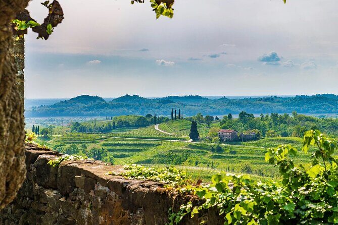 Wine tasting in the Collio wine area, guided tour of Cividale. - Exploring the UNESCO Site of Cividale
