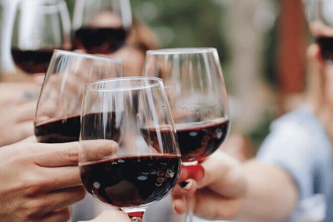 Wine tasting in the Collio wine area, guided tour of Cividale. - Authenticity and Value