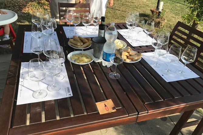 Wine Tasting in the Lucca Countryside With Sommelier - Traveler Feedback and Ratings