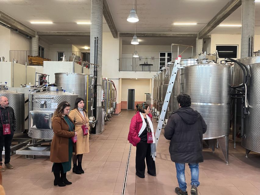 Wine Tasting in the South Slope of Etna - Experience Highlights