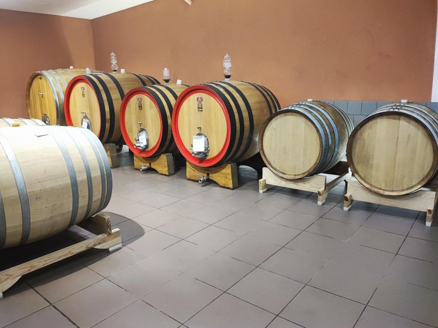 Wine Tasting in the South Slope of Etna - Frequently Asked Questions