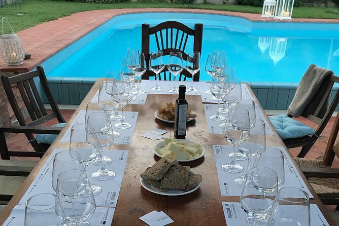 Wine tasting in Versilia with sommelier - 5 wines and local products - Who Will Love This Experience?