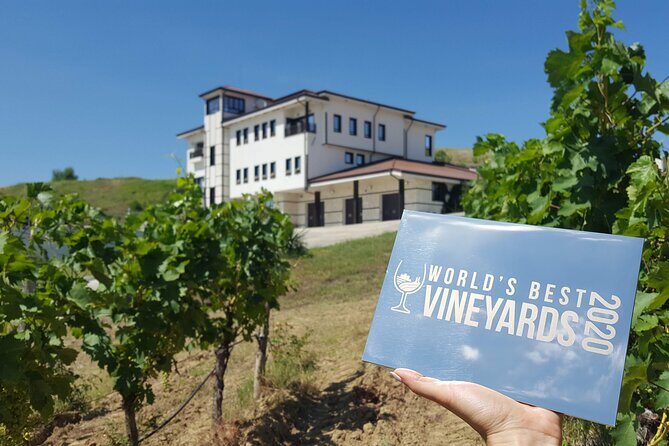 Wine Tasting & More in Villa Melnik  One of the Worlds Best Wineries - Key Points