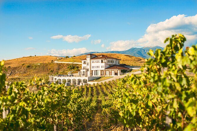 Wine Tasting & More in Villa Melnik  One of the Worlds Best Wineries - The Itinerary in Detail