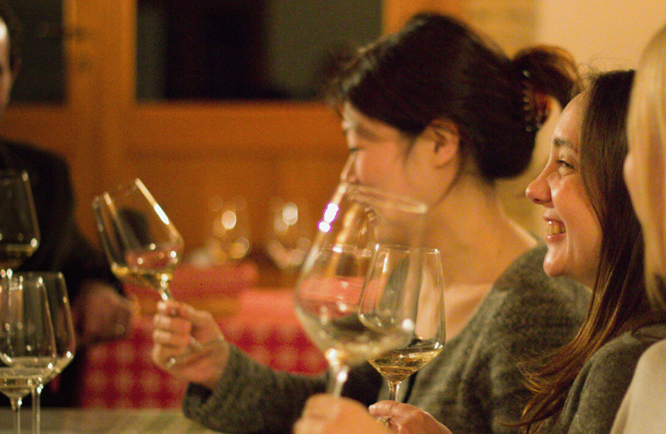 Wine Tasting Near the Aquarium of Genoa - Key Points