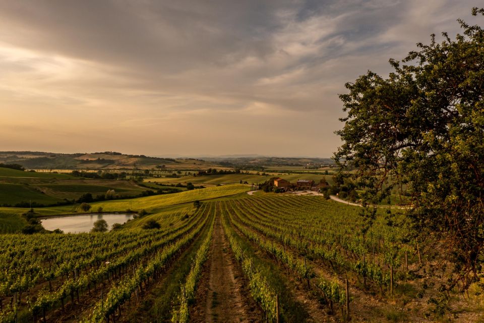 Wine Tasting of Brunello in a Historic Cellar - Key Points