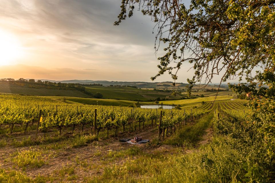 Wine Tasting of Brunello in a Historic Cellar - Frequently Asked Questions