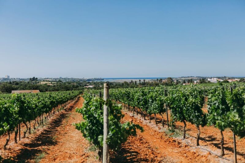Wine Tasting Off-Road Tour - Itinerary Breakdown: What You Can Expect