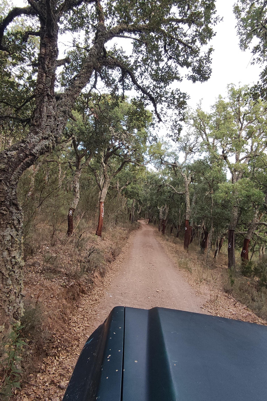 Wine Tasting Off-Road Tour - Practical Details and Value