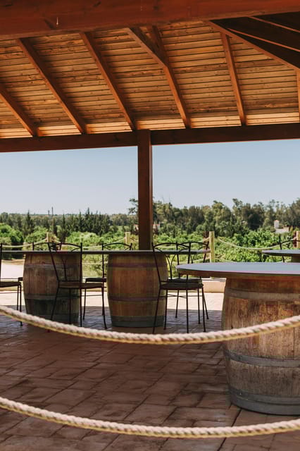 Wine Tasting Off-Road Tour - Authentic Insights From Reviews