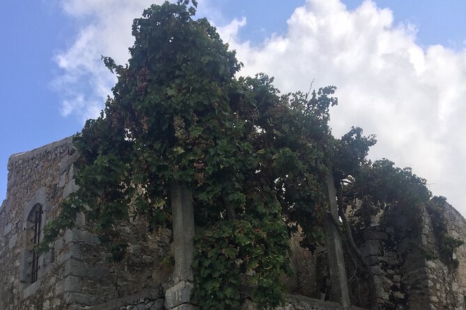 Wine Tasting-Olive Oil Factory-Old Traditional Villages . - Traditional Village Visits