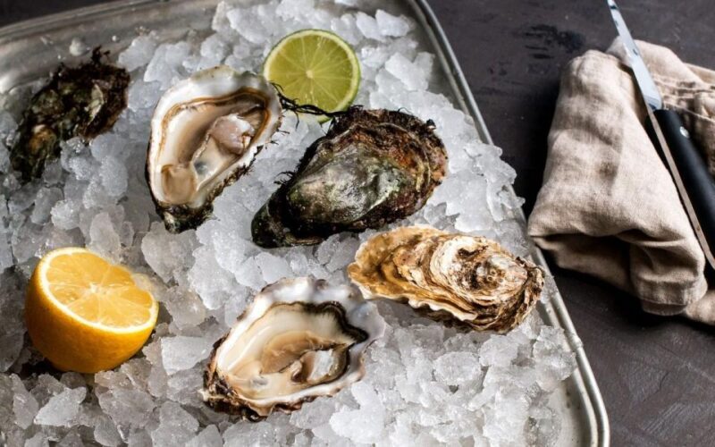 Wine tasting on Peninsula Peljeac wine tour from Dubrovnik - The Itinerary in Detail