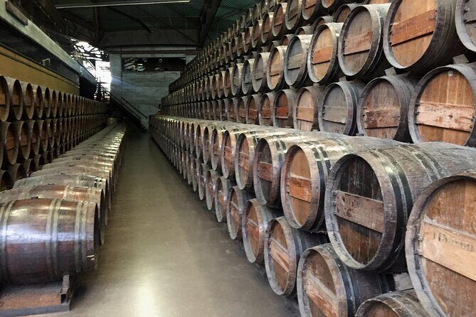 Wine Tasting + Private Tour Coastal Near Lisbon - What to Expect From Each Stop