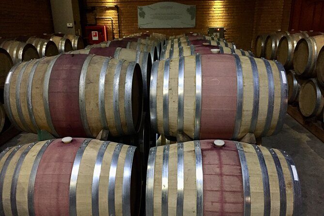 Wine Tasting + Private Tour Coastal Near Lisbon - Who Will Love This Tour?