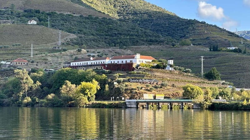 Wine Tasting QT textures of Rosé - Sunset vibe - An In-Depth Look at Quinta do Tedos Sunset Rosé Tour