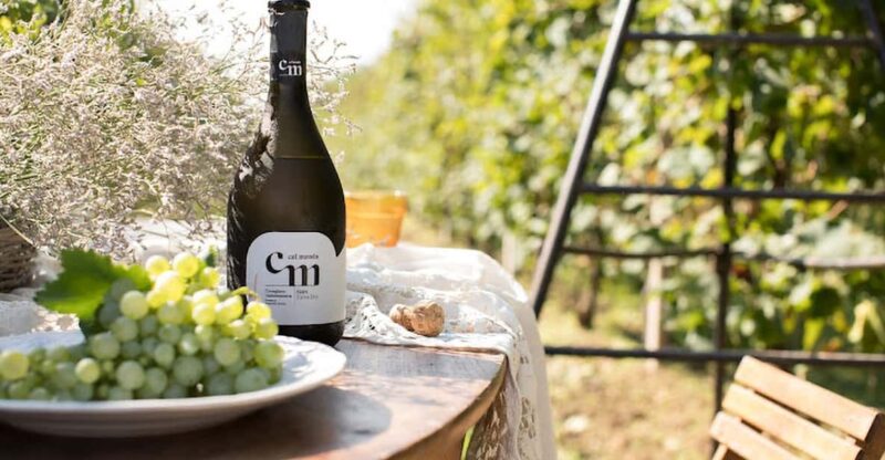 Wine Tasting: the Flavors of the "Prosecco Hills" - Presentation on Prosecco Superiore