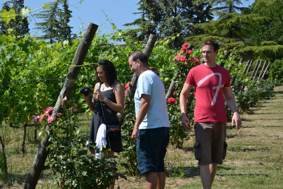 WINE TASTING TOUR - Experience Details