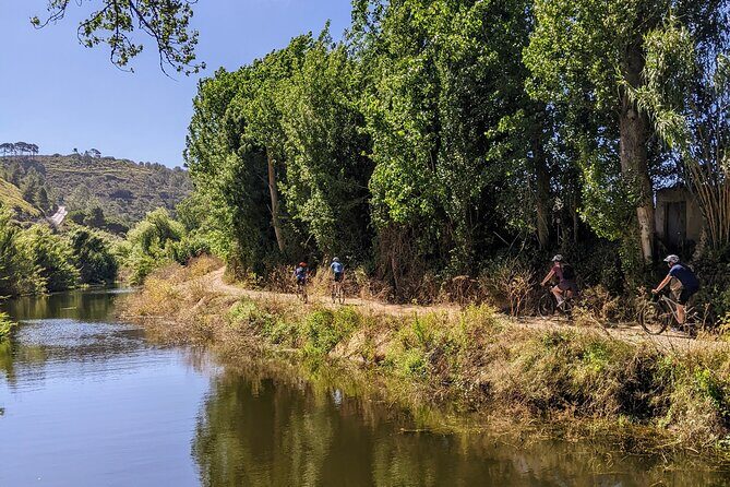 Wine Tasting Tour - What to Expect: Practical Details