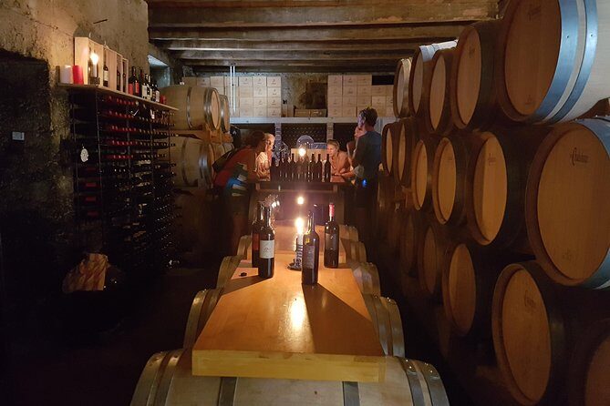 Wine Tasting Tour - The Experience: What to Expect on the Hvar Wine Tasting Tour