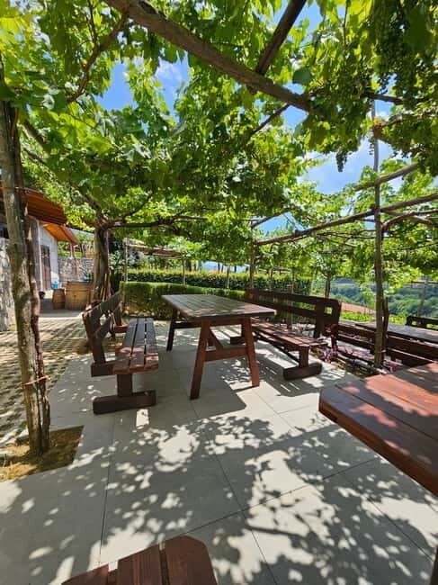 Wine tasting tour and traditional lunch in the hills of the Amalfi Coast - Who Should Consider This Tour?