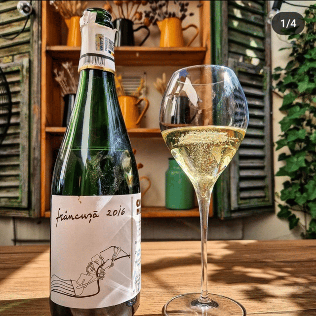 Wine tasting tour - Bucharest - Key Points