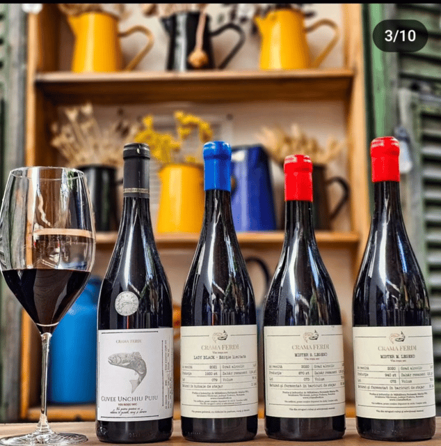 Wine tasting tour - Bucharest - Discovering the Bucharest Wine Tasting Experience