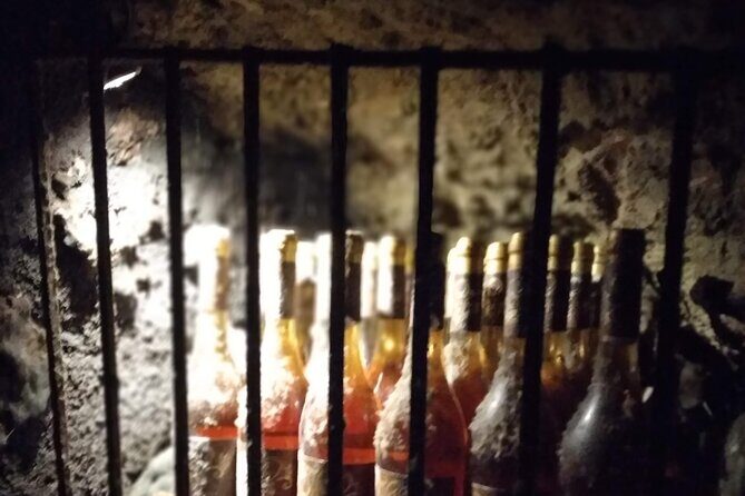 Wine Tasting Tour in Tokaj Wine Region Slovakia. With transport - What to Expect from the Tour Experience